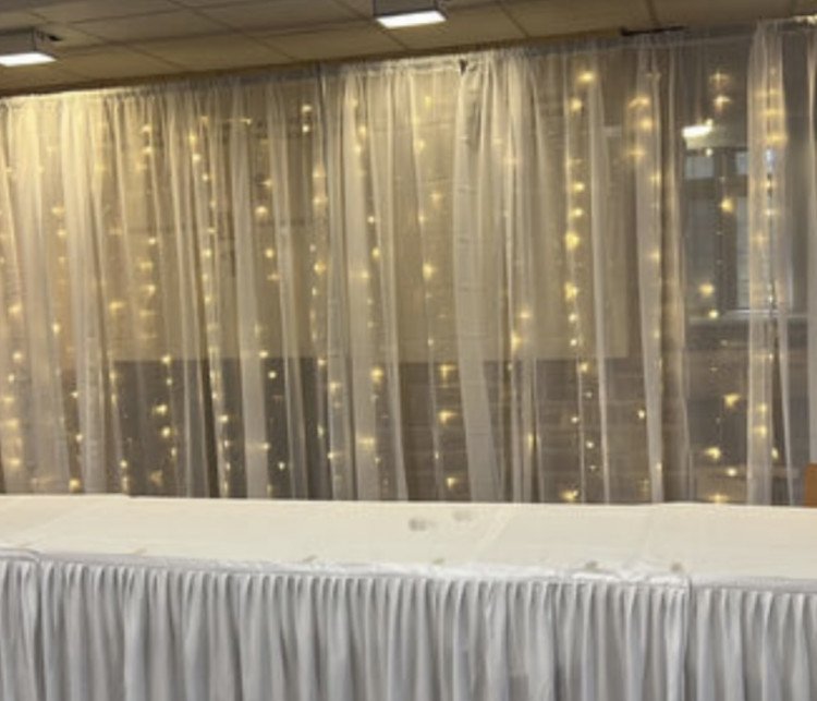 Sheer Backdrop With Fairy Lights (8ftx10ft)