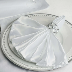 1A0C7573 E3A3 458E 8CDD 033BD49A1450 1730521296 White Satin Napkin (12)