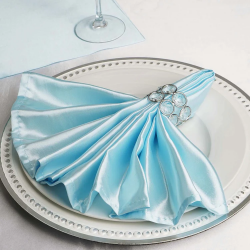 1EEAE907 F19E 40A0 ABE4 54BC9350BC87 1730520711 Baby Blue Napkin Satin (12)