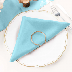 Baby Blue Polyester Napkin (12)